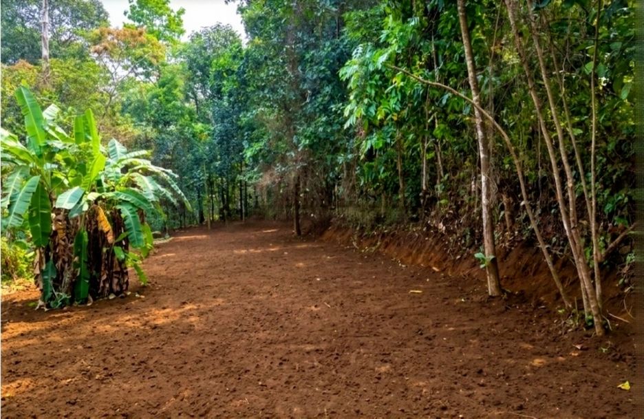 Highway Frontage Land for Sale in Chirakkadavu, Ponkunnam- Manimala Rd - 2