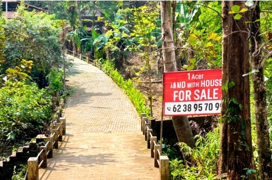 Highway Frontage Land for Sale in Chirakkadavu, Ponkunnam- Manimala Rd - 3