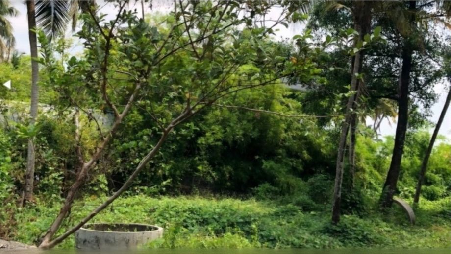 Prime Land for Sale in Panangad, Ernakulam -  Land Area: 71.26 Cent - 2