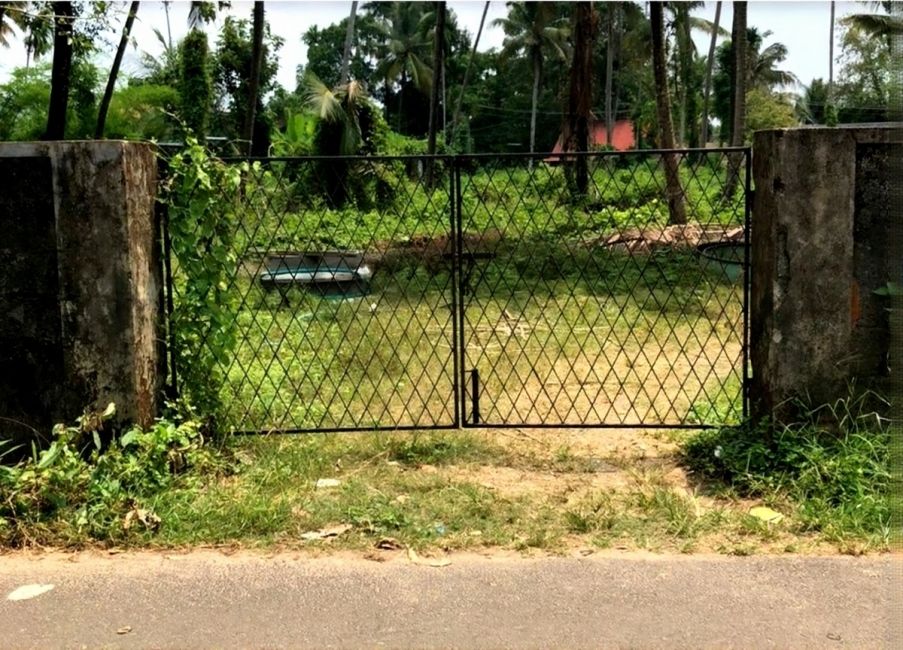 Prime Land for Sale in Panangad, Ernakulam -  Land Area: 71.26 Cent - 3