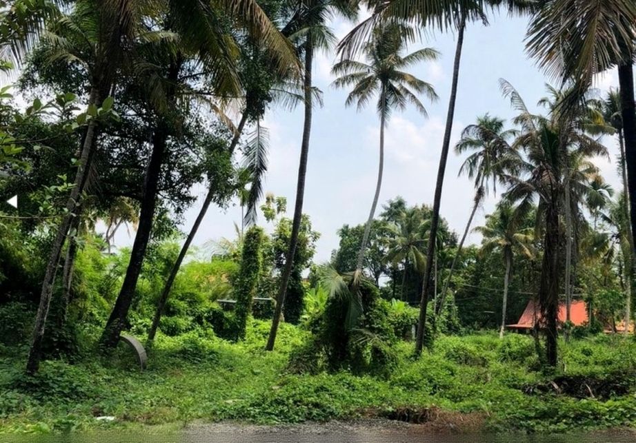 Prime Land for Sale in Panangad, Ernakulam -  Land Area: 71.26 Cent - 4